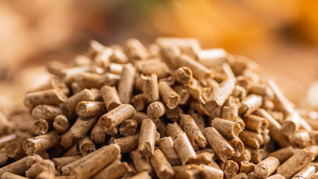 Granulés en gros plan